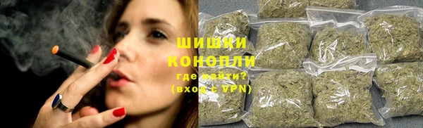 ГАЛЛЮЦИНОГЕННЫЕ ГРИБЫ Бронницы