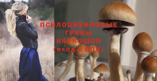 ГАЛЛЮЦИНОГЕННЫЕ ГРИБЫ Бронницы