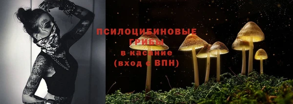 Альфа ПВП Бородино