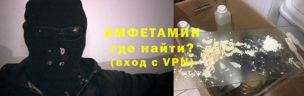 прущие грибы Верхний Тагил