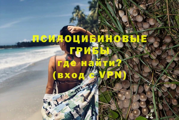 скорость Богородицк