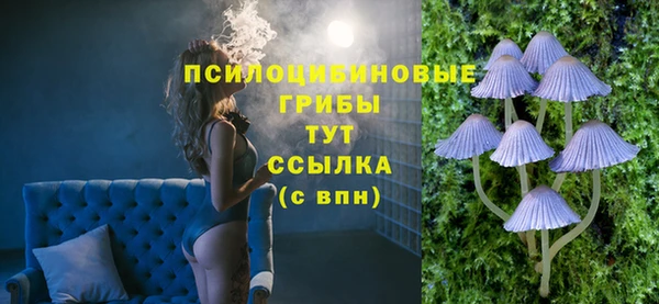 Альфа ПВП Бородино