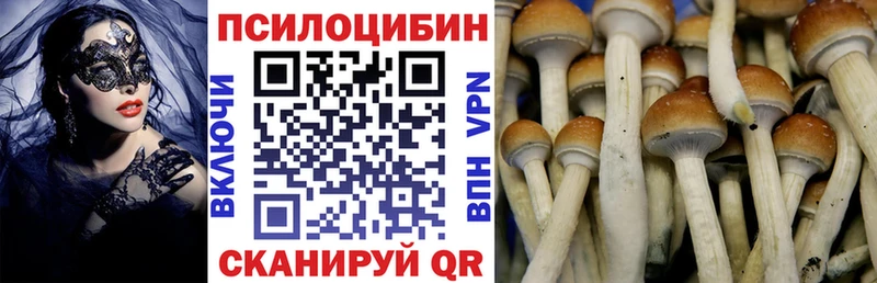 Галлюциногенные грибы Magic Shrooms Гуково
